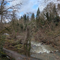 Walkway at Johnson Creek.jpg