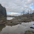 Wet day at Elk Rock.jpg