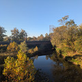 Green Brook.jpg