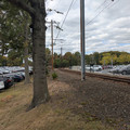 Princeton branch.jpg