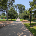 Magill Walk.jpg