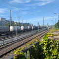 Freight train at Hürth-Kalscheuren.jpg