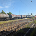 Freight train on the West Rhine line.jpg