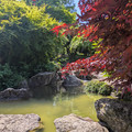 Japanischer Garten.jpg