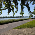 On the Rhine.jpg