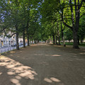 Path at the Hofgarten.jpg