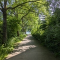 Path to the Rhine.jpg