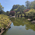 Rheinaue.jpg