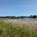 Traffic on the Rhine.jpg