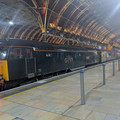 57605.jpg