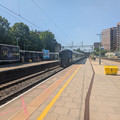 730205.jpg
