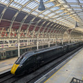800005.jpg
