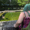 Duck inspection.jpg