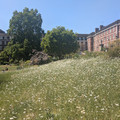 Inner Temple Garden.jpg