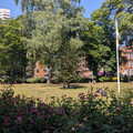 Paddington Street Gardens South.jpg