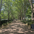 Plane boardwalk.jpg