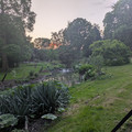 Serpentine Stephen Waterfall in the evening.jpg