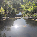 Serpentine Stephen Waterfall.jpg