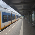 Sprinter at Rotterdam Alexander.jpg