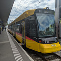 BLT line 19.jpg