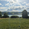 Between Baldegg and Gelfingen.jpg