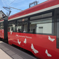 Butterfly car.jpg