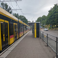Dorenbach.jpg