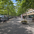 In Interlaken.jpg