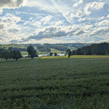 Lake Baldegg from Baldegg.jpg