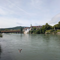 Mallard over the Aare.jpg