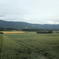 Outside Selzach.jpg