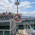 Pictogram.jpg