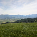 Rhine Valley.jpg