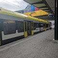 Yellow wrap.jpg
