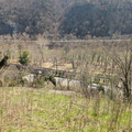 Shenandoah Subdivision.jpg