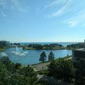 Library with a view.jpg