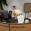 Security bear.jpg