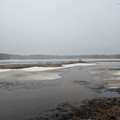 Fog on Lake Wyola.jpg