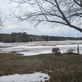 Lake Wyola 2.jpg