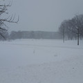 Skillman Library.jpg