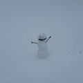 Snowman.jpg
