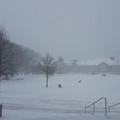 The Quad.jpg