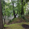 Fog on the creek.jpg