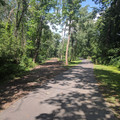 Fork in the road.jpg