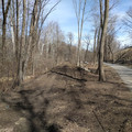 Spring clearing.jpg