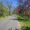 Spring indeed.jpg