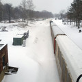 Norfolk Southern 2.jpg