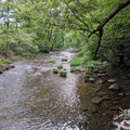 Bushkill Creek-201906070.jpg