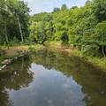Bushkill Creek-202607050.jpg