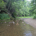 Bushkill Creek-202607051.jpg